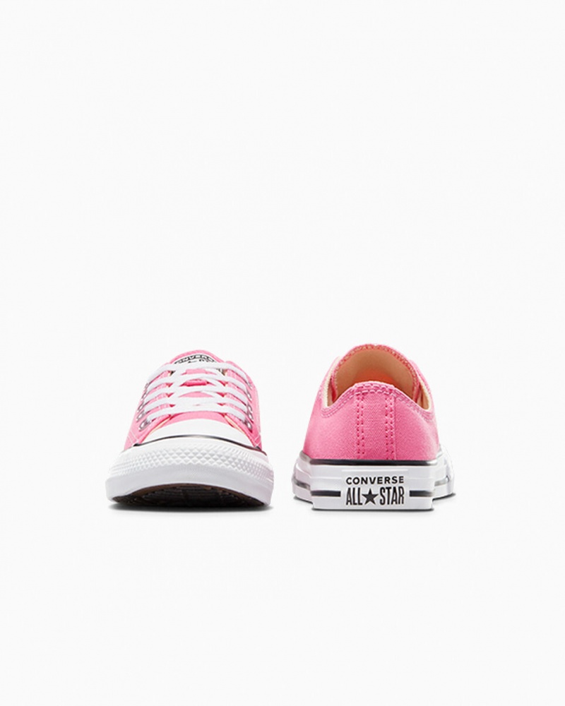 Converse Chuck Taylor All Star Rose | LQ6051723