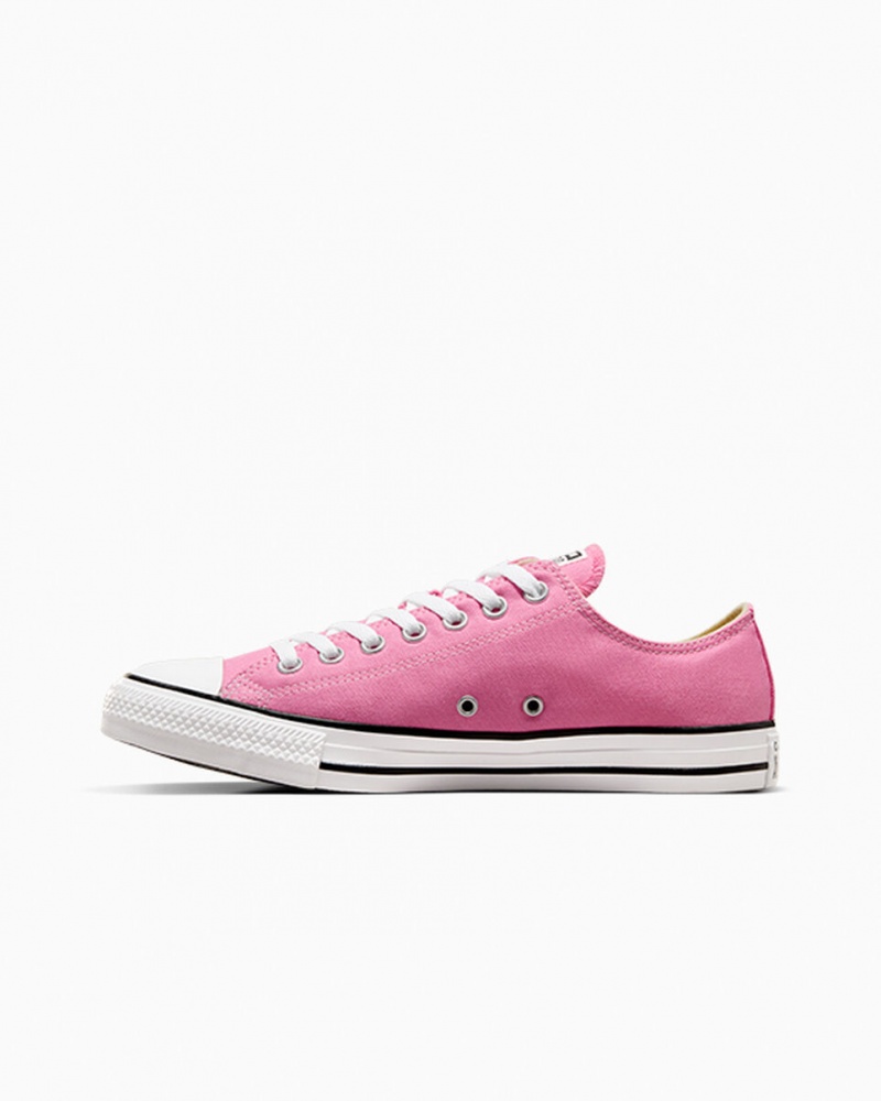 Converse Chuck Taylor All Star Rose | TH4568327