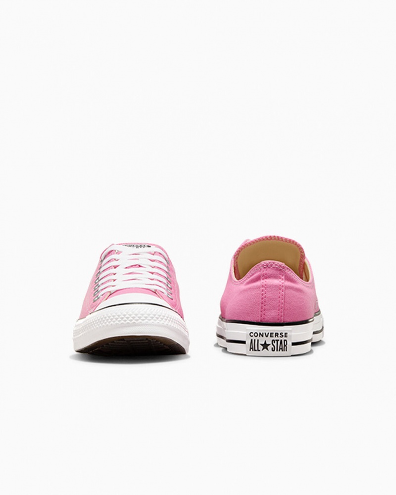 Converse Chuck Taylor All Star Rose | TH4568327