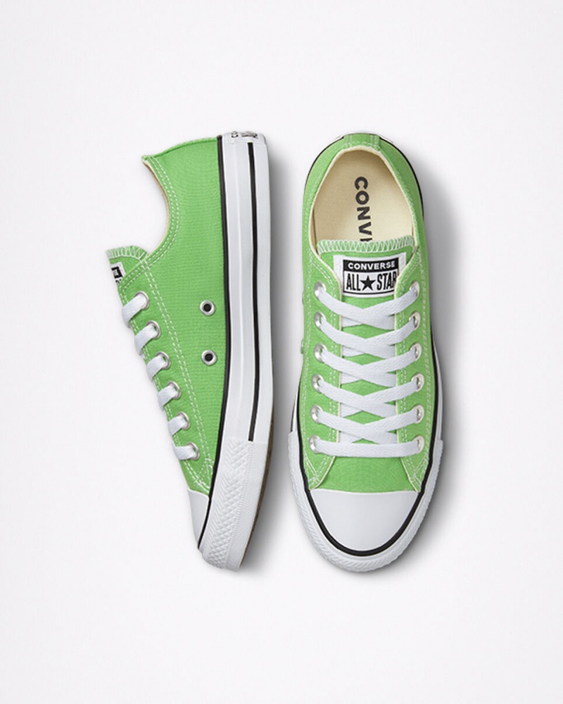 Converse Chuck Taylor All Star Seasonal Color Virtual Matcha | KC9534026