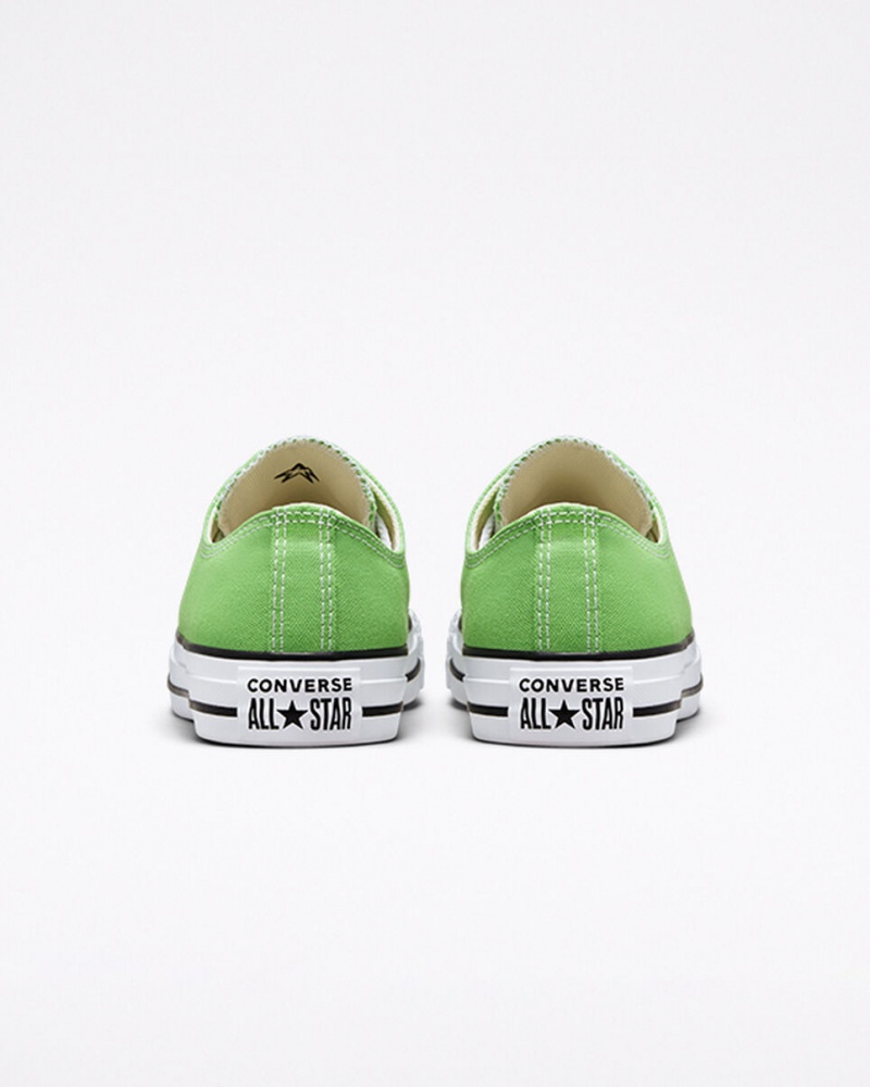 Converse Chuck Taylor All Star Seasonal Color Virtual Matcha | IT1594208